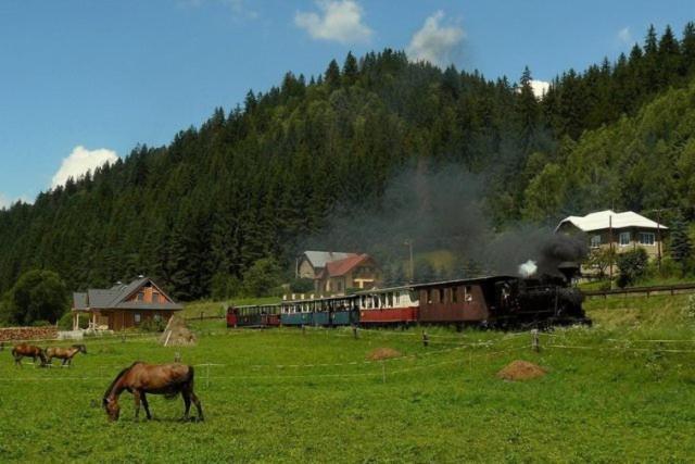 Chata Pod Chopkom Tale Dış mekan fotoğraf